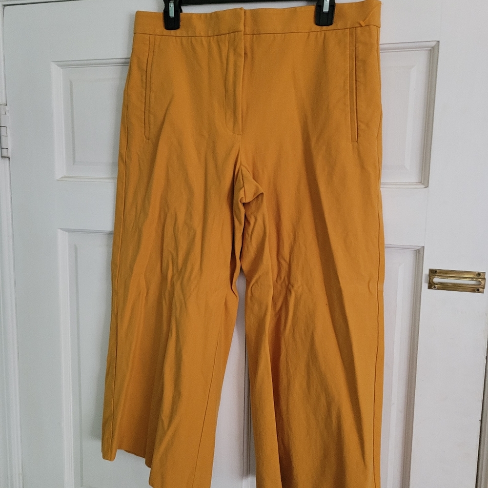 Ann Taylor Wide Leg Capris Size 12
